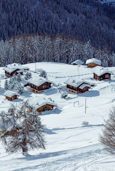 白天在白雪覆盖的地面上的棕色木屋